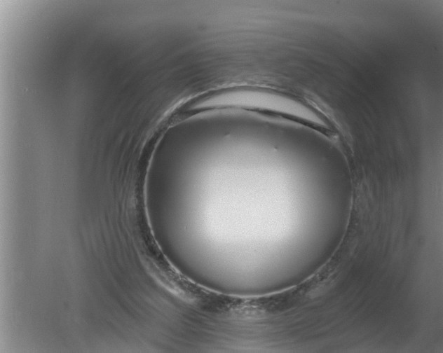 X0000080130203200612221906