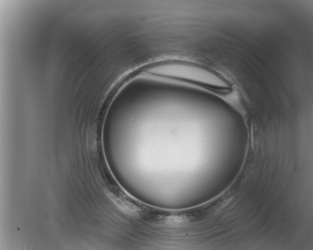 X0000080130204200612221906