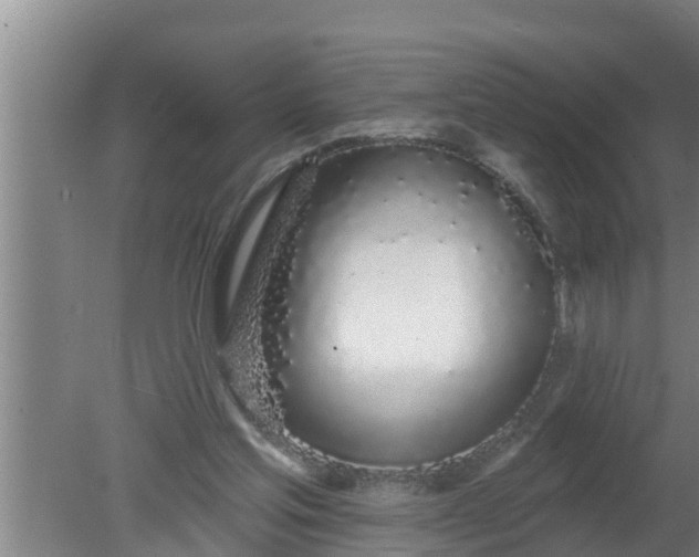 X0000080130205200612221906