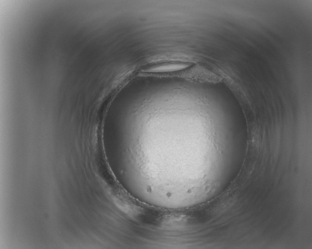 X0000080130206200612221906