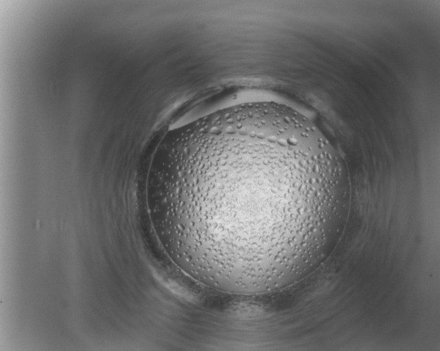 X0000080130207200612221906