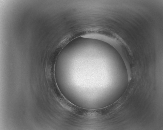 X0000080130209200612221906