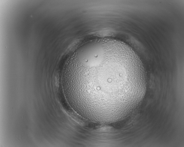 X0000080130210200612221906