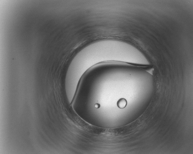 X0000080130211200612221906