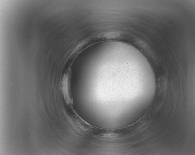 X0000080130212200612221906