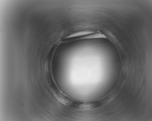 X0000080130213200612221906