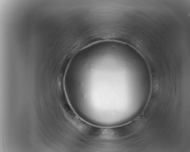 X0000080130214200612221906