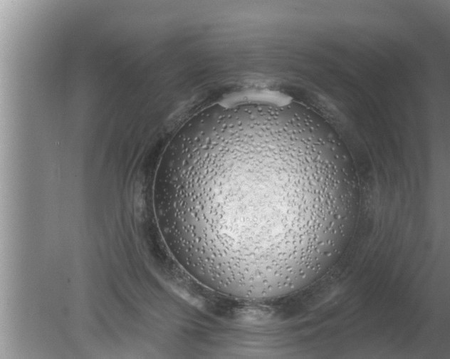 X0000080130215200612221906