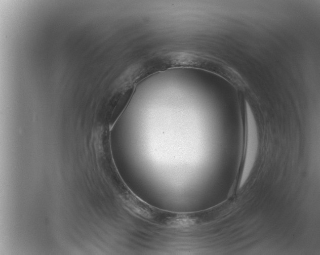 X0000080130217200612221905