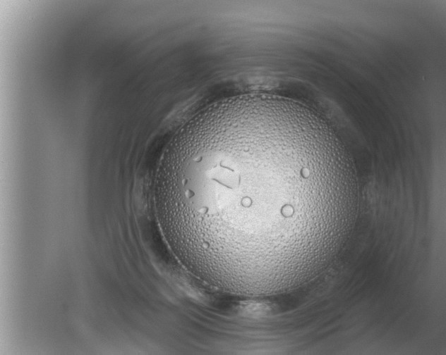 X0000080130218200612221905