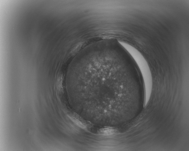 X0000080130219200612221905