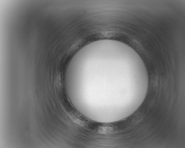 X0000080130220200612221905