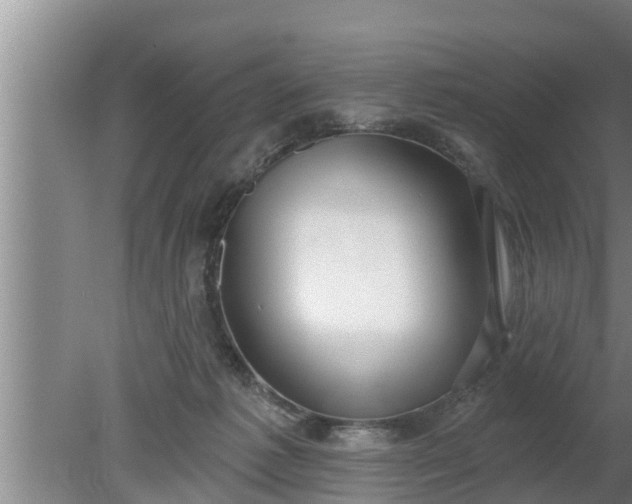 X0000080130221200612221905