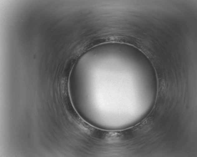 X0000080130222200612221905