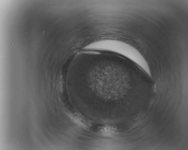 X0000080130223200612221905