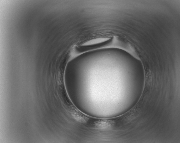 X0000080130224200612221905