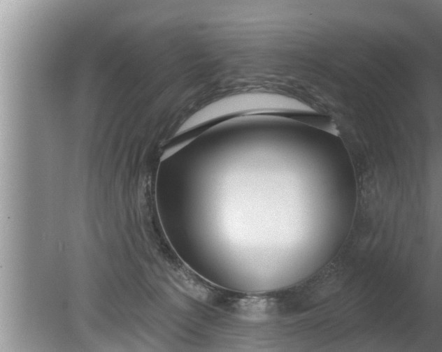 X0000080130225200612221905