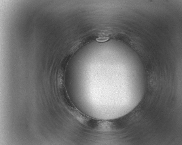 X0000080130226200612221905