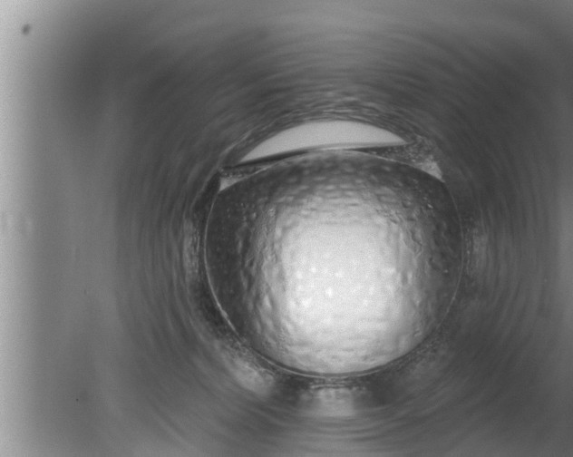 X0000080130228200612221905