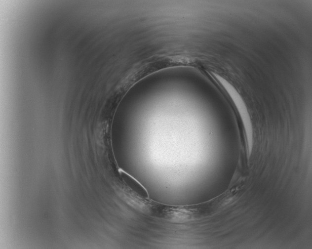 X0000080130229200612221905