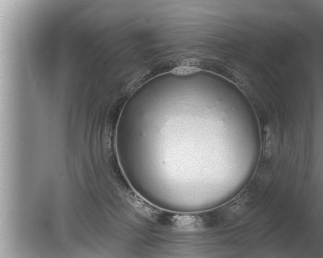 X0000080130230200612221905