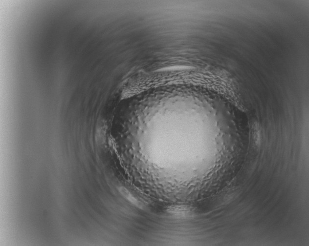 X0000080130231200612221905