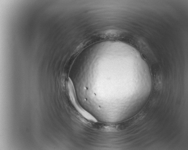 X0000080130232200612221905