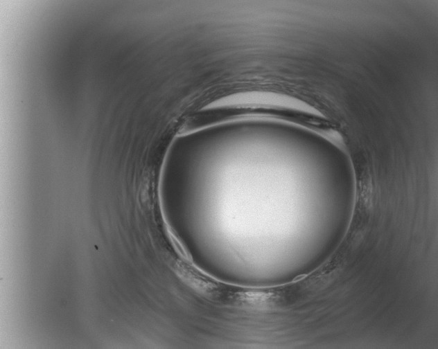 X0000080130233200612221905