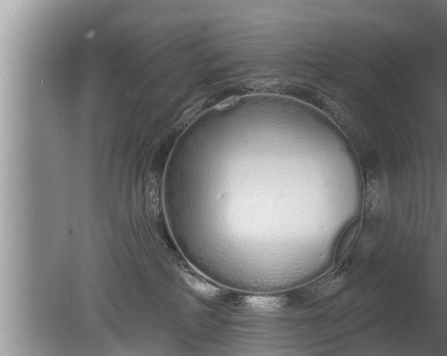 X0000080130234200612221905