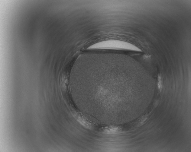 X0000080130235200612221905