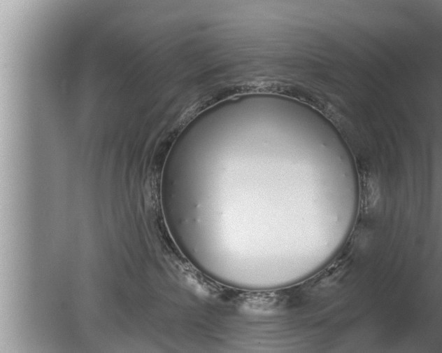 X0000080130236200612221905