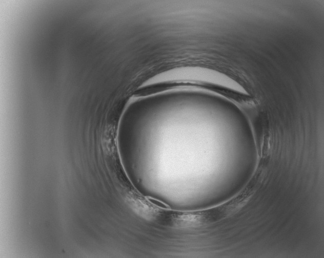 X0000080130237200612221905