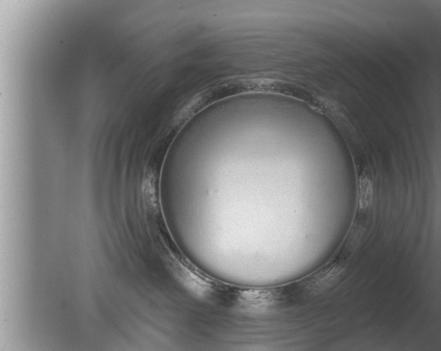 X0000080130238200612221905