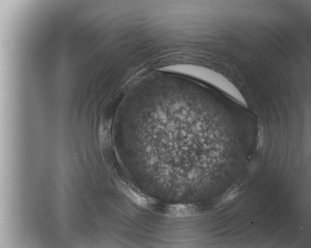 X0000080130239200612221905