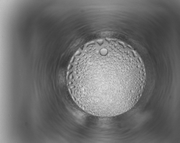 X0000080130240200612221905