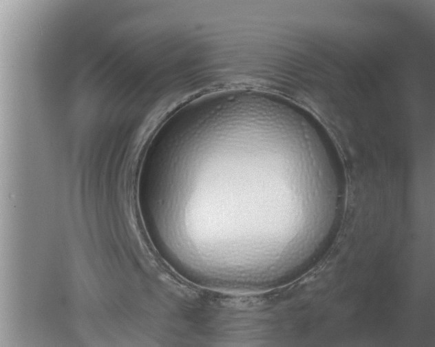 X0000080130241200612221904