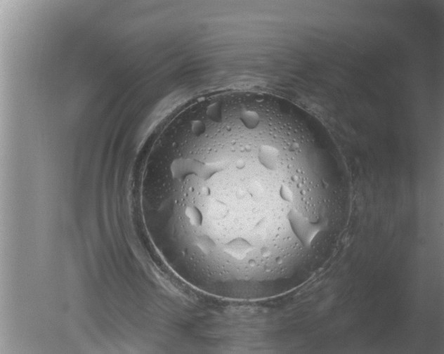 X0000080130242200612221904