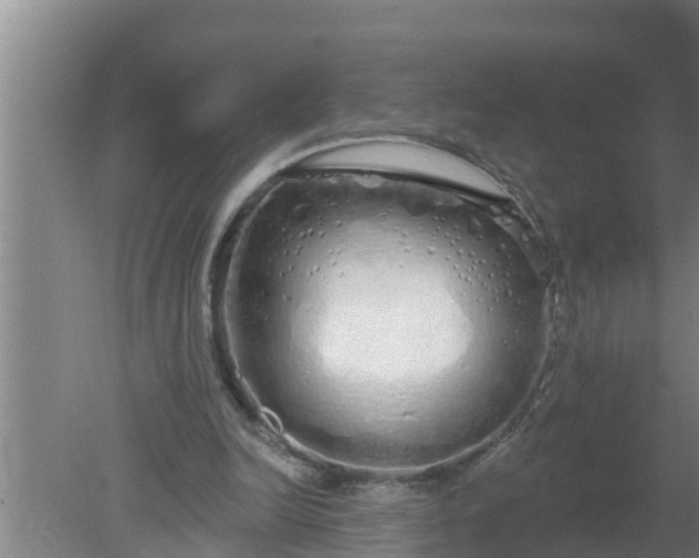 X0000080130246200612221904