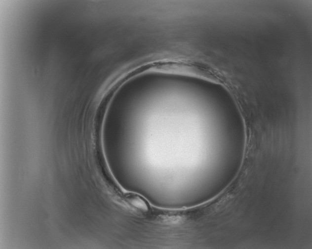 X0000080130247200612221904