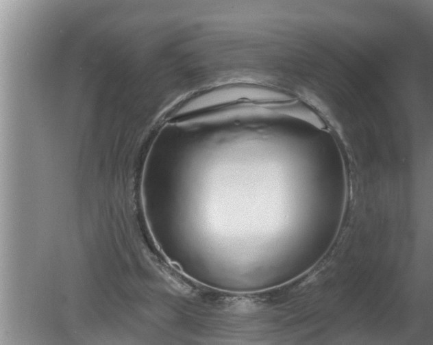 X0000080130249200612221904