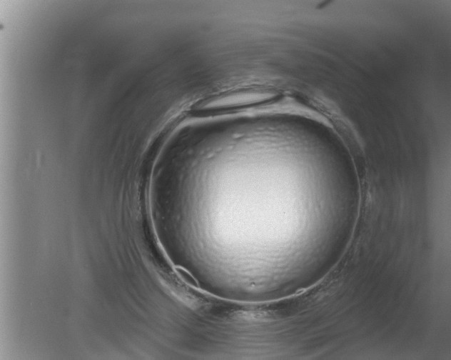 X0000080130250200612221904