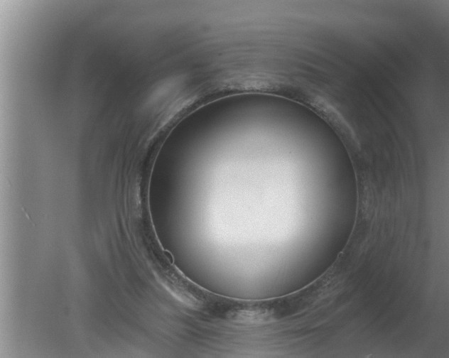 X0000080130251200612221904