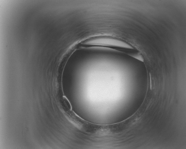 X0000080130252200612221904