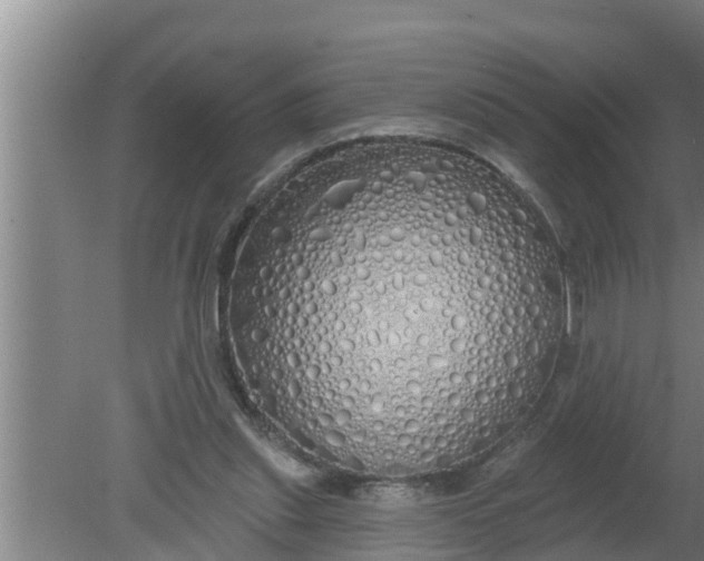 X0000080130253200612221904