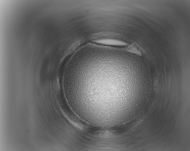 X0000080130254200612221904