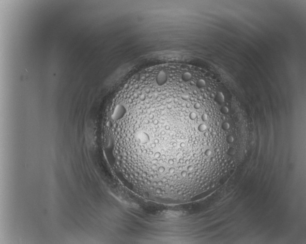 X0000080130255200612221904