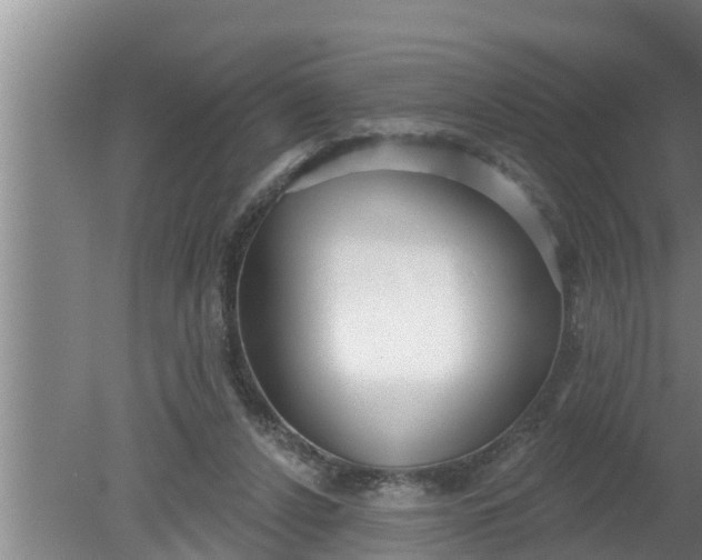 X0000080130256200612221905