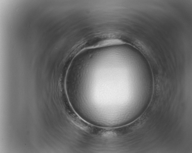 X0000080130258200612221905