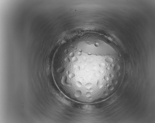 X0000080130261200612221905