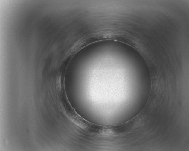 X0000080130262200612221905